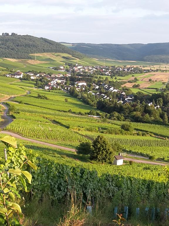 Ferienappartement Hennen Konz Kültér fotó